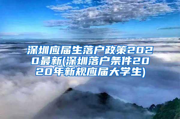 深圳应届生落户政策2020最新(深圳落户条件2020年新规应届大学生)