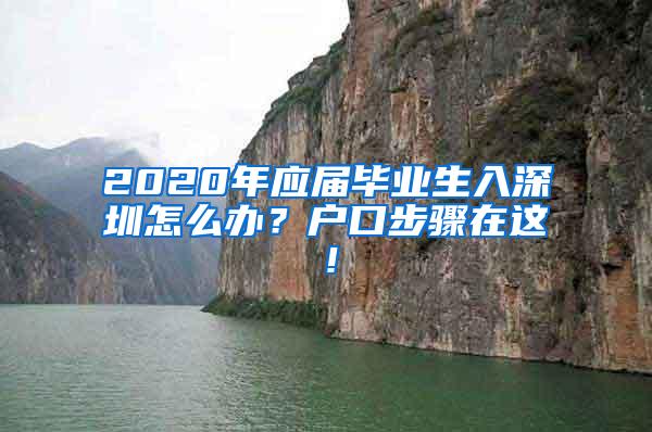 2020年应届毕业生入深圳怎么办？户口步骤在这！