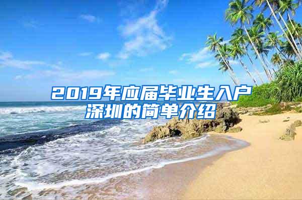 2019年应届毕业生入户深圳的简单介绍