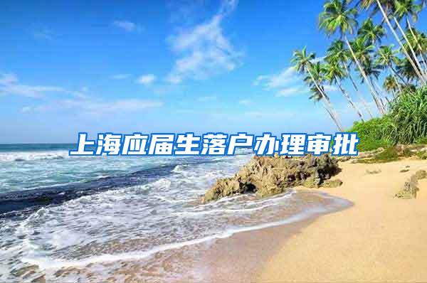 上海应届生落户办理审批