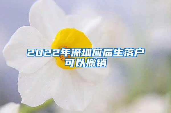 2022年深圳应届生落户可以撤销