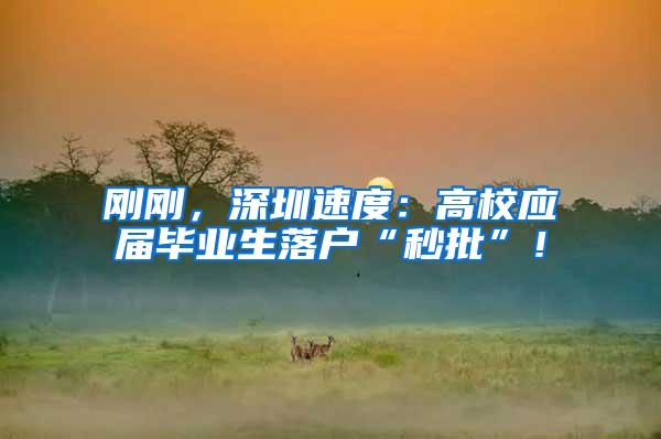 刚刚,深圳速度:高校应届毕业生落户“秒批”!