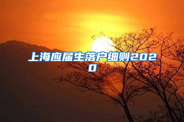 上海应届生落户细则2020