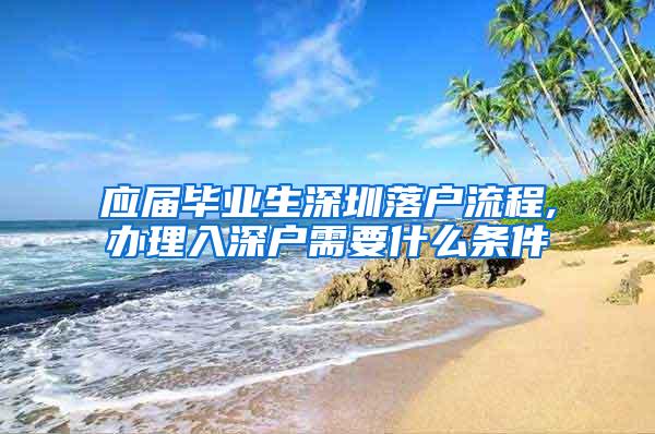 应届毕业生深圳落户流程,办理入深户需要什么条件