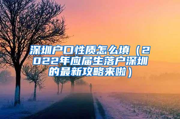 深圳户口性质怎么填（2022年应届生落户深圳的最新攻略来啦）