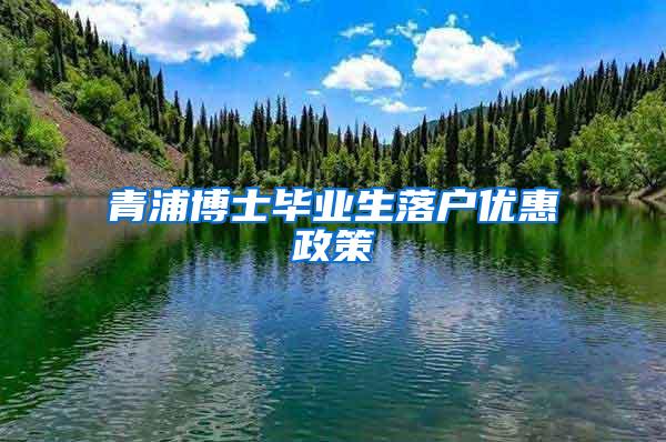 青浦博士毕业生落户优惠政策