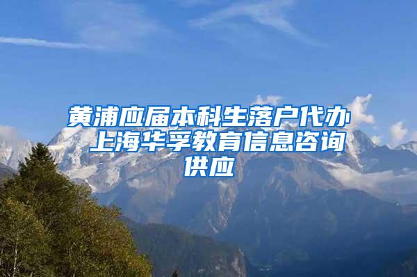 黄浦应届本科生落户代办 上海华孚教育信息咨询供应