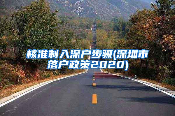 核准制入深户步骤(深圳市落户政策2020)