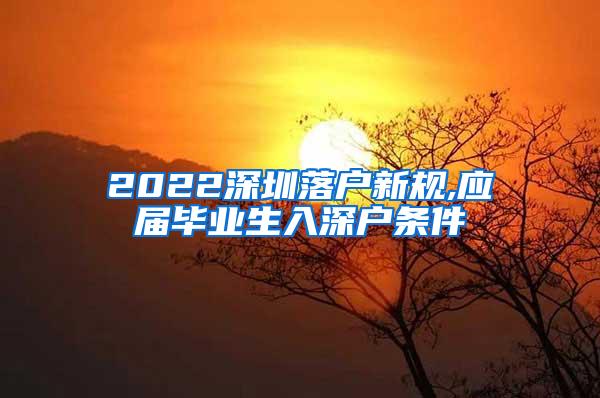 2022深圳落户新规,应届毕业生入深户条件