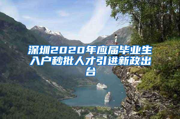 深圳2020年应届毕业生入户秒批人才引进新政出台