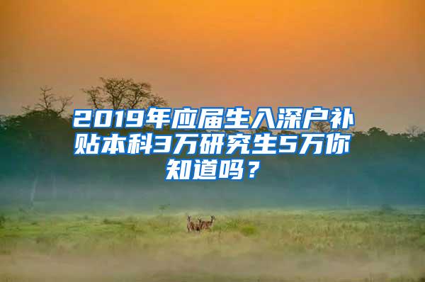 2019年应届生入深户补贴本科3万研究生5万你知道吗？