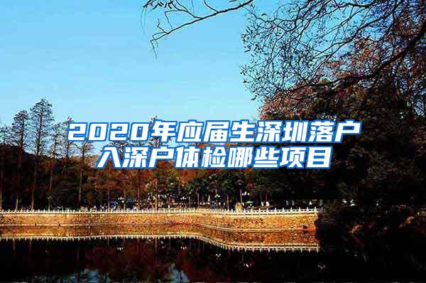 2020年应届生深圳落户入深户体检哪些项目