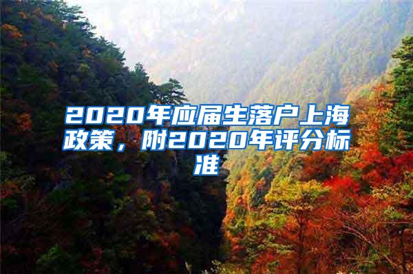 2020年应届生落户上海政策，附2020年评分标准