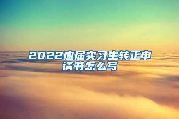 2022应届实习生转正申请书怎么写