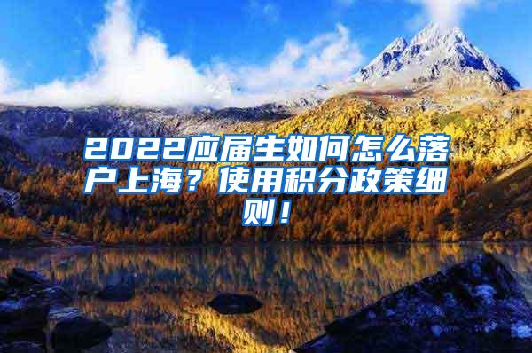 2022应届生如何怎么落户上海？使用积分政策细则！