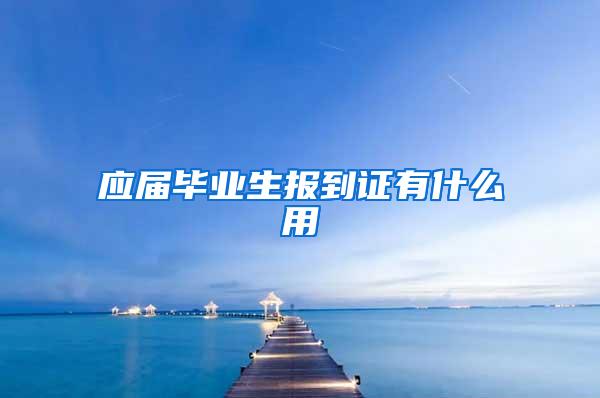 应届毕业生报到证有什么用