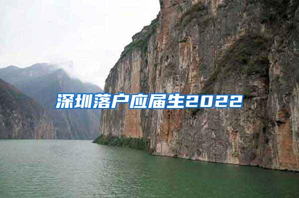 深圳落户应届生2022