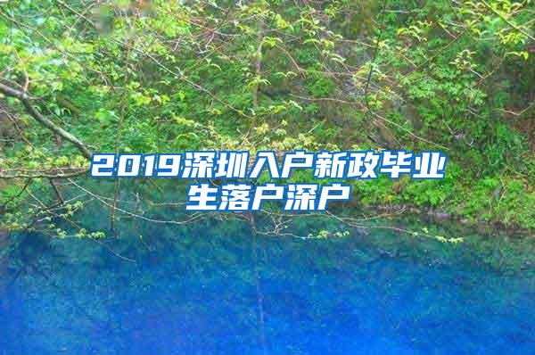 2019深圳入户新政毕业生落户深户