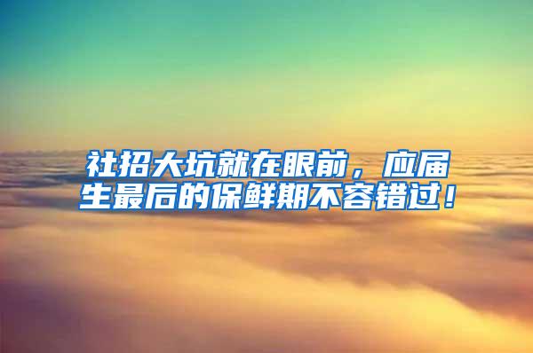 社招大坑就在眼前，应届生最后的保鲜期不容错过！