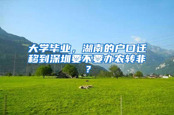 大学毕业，湖南的户口迁移到深圳要不要办农转非？