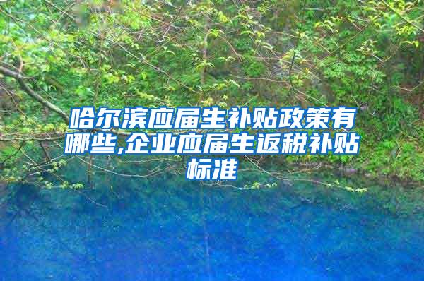 哈尔滨应届生补贴政策有哪些,企业应届生返税补贴标准