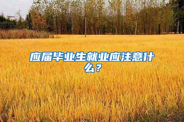 应届毕业生就业应注意什么？
