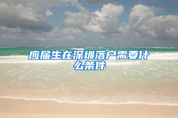 应届生在深圳落户需要什么条件