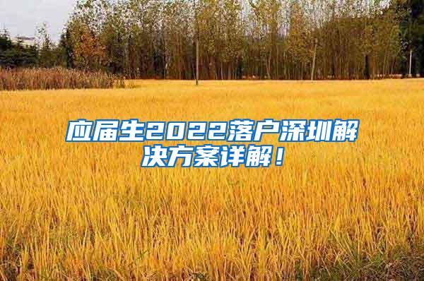 应届生2022落户深圳解决方案详解！