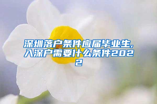 深圳落户条件应届毕业生,入深户需要什么条件2022