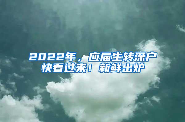 2022年，应届生转深户快看过来！新鲜出炉