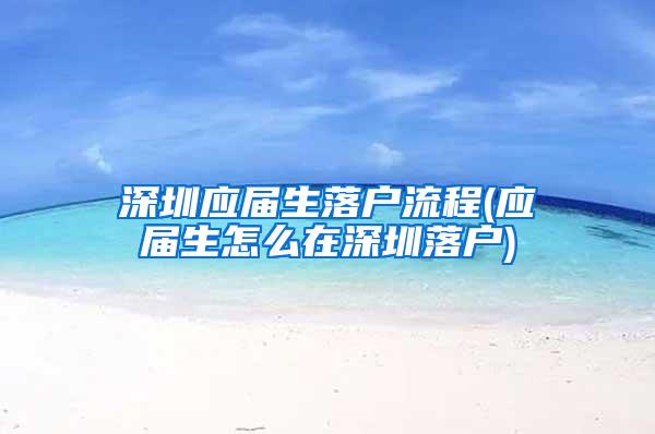 深圳应届生落户流程(应届生怎么在深圳落户)