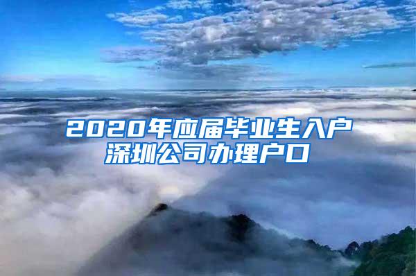 2020年应届毕业生入户深圳公司办理户口