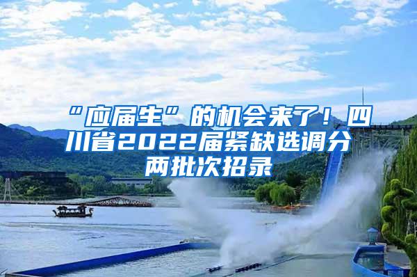 “应届生”的机会来了！四川省2022届紧缺选调分两批次招录