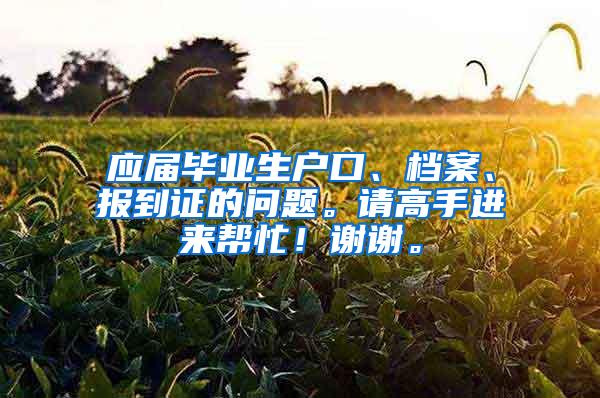 应届毕业生户口、档案、报到证的问题。请高手进来帮忙！谢谢。