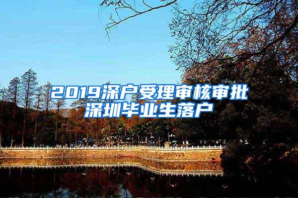 2019深户受理审核审批深圳毕业生落户