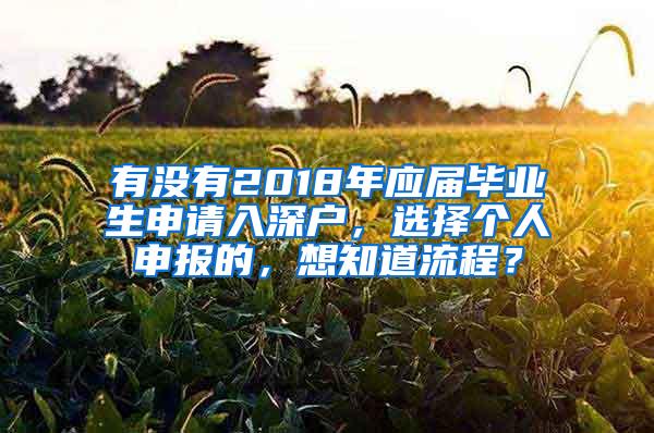 有没有2018年应届毕业生申请入深户，选择个人申报的，想知道流程？