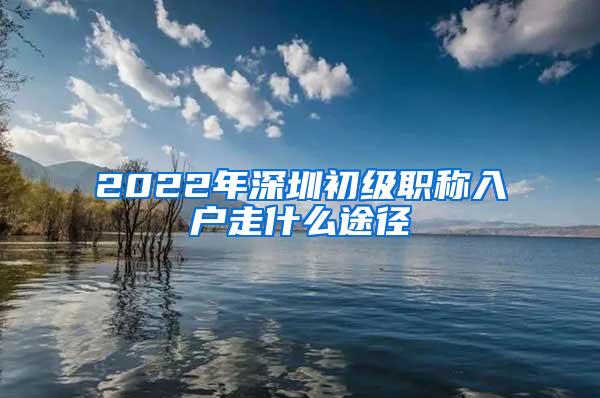 2022年深圳初级职称入户走什么途径