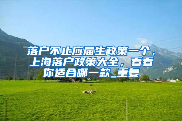 落户不止应届生政策一个，上海落户政策大全，看看你适合哪一款_重复