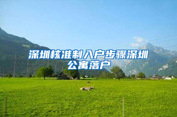 深圳核准制入户步骤深圳公寓落户