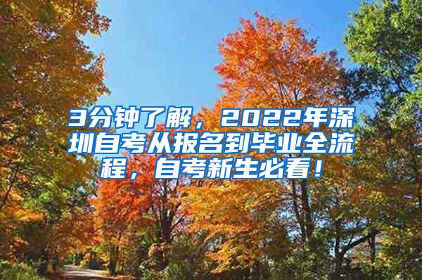 3分钟了解，2022年深圳自考从报名到毕业全流程，自考新生必看！