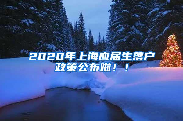 2020年上海应届生落户政策公布啦！！