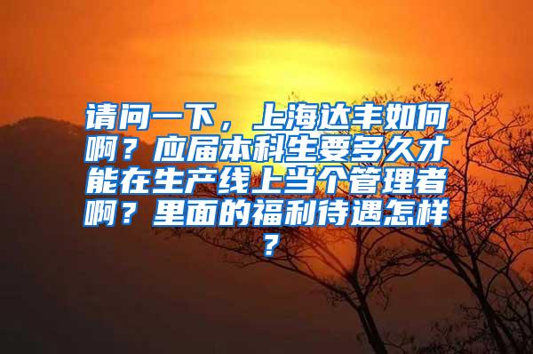 请问一下，上海达丰如何啊？应届本科生要多久才能在生产线上当个管理者啊？里面的福利待遇怎样？