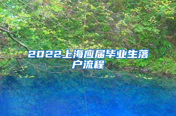 2022上海应届毕业生落户流程