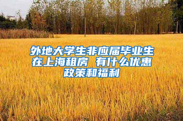 外地大学生非应届毕业生在上海租房 有什么优惠政策和福利