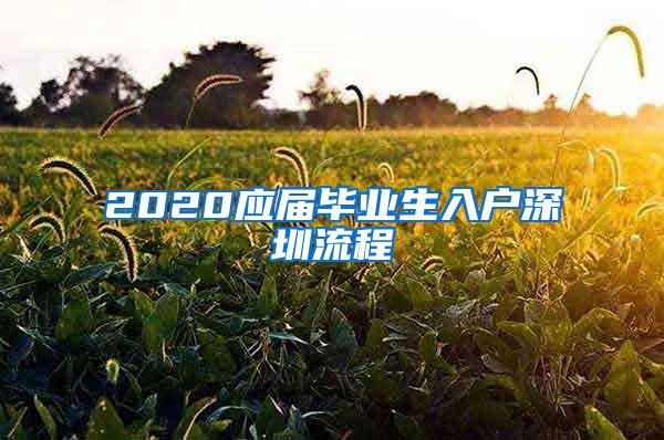 2020应届毕业生入户深圳流程