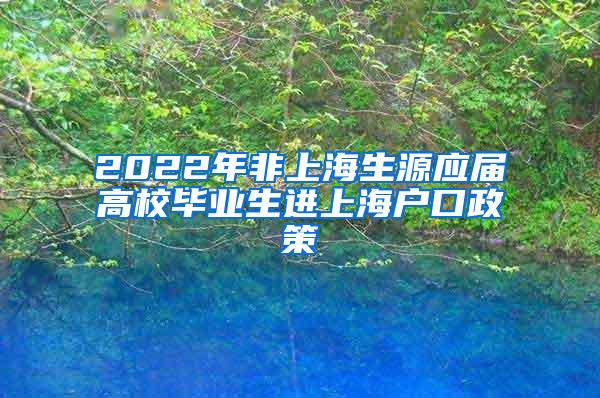 2022年非上海生源应届高校毕业生进上海户口政策