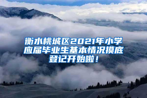 衡水桃城区2021年小学应届毕业生基本情况摸底登记开始啦！