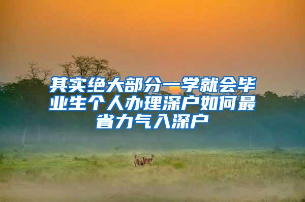 其实绝大部分一学就会毕业生个人办理深户如何最省力气入深户