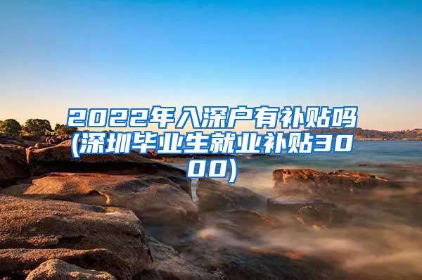 2022年入深户有补贴吗(深圳毕业生就业补贴3000)