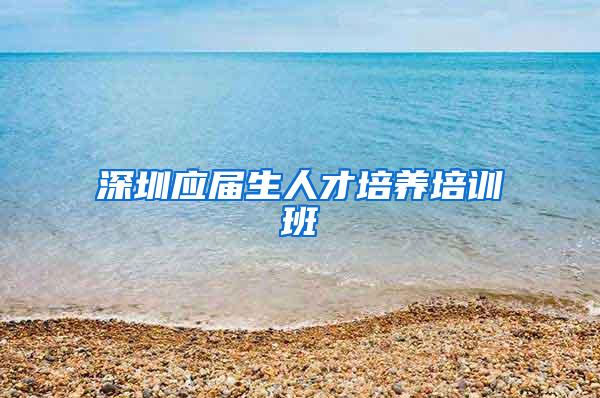 深圳应届生人才培养培训班